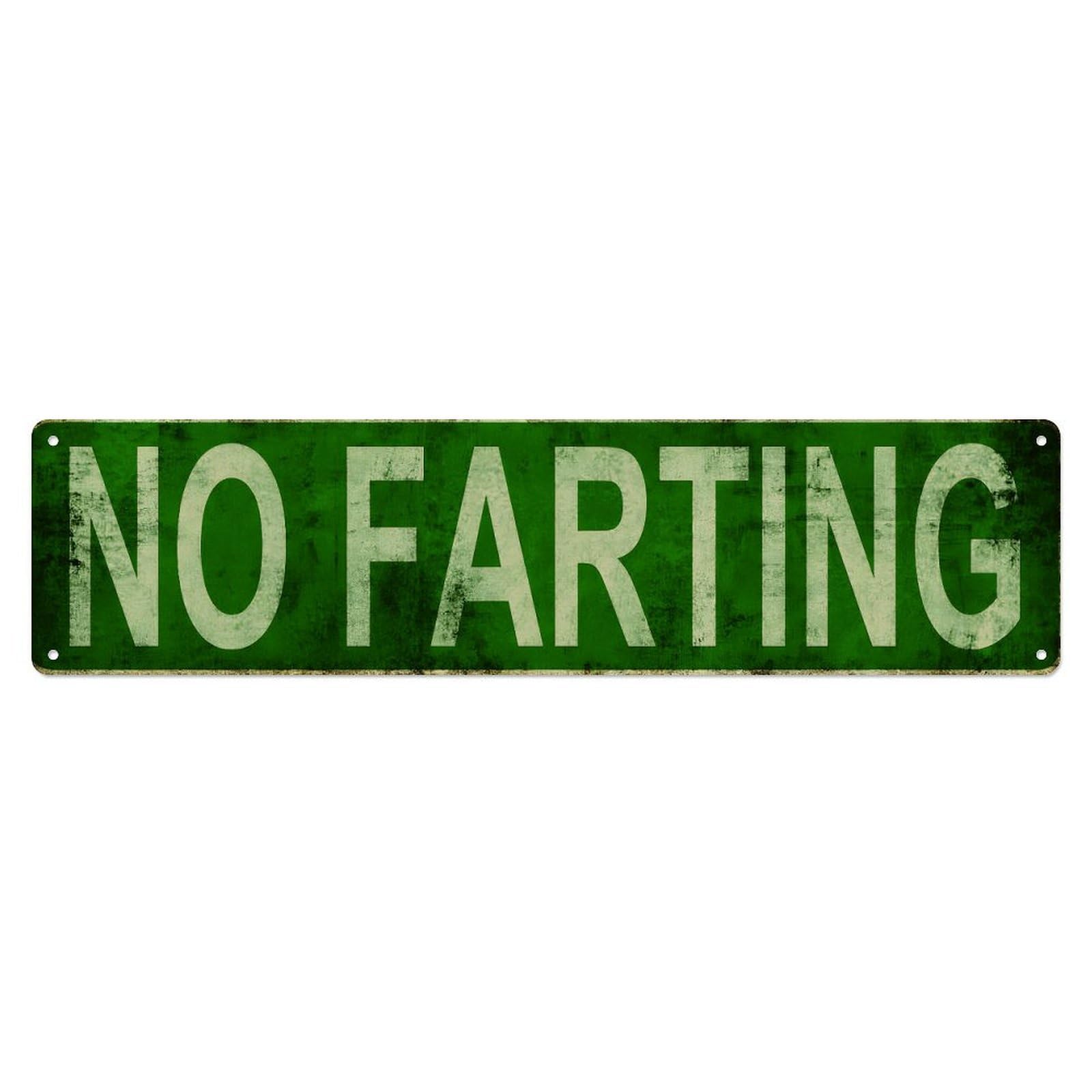 Ldfuieksufg Style Rectangle Rustic Green No Farting Funny Warning Metal Sign Vintage Aluminium Metal Sign, Retro Wall Decor For Home, Bar, Garage & Farmhouse 10 * 40Cm