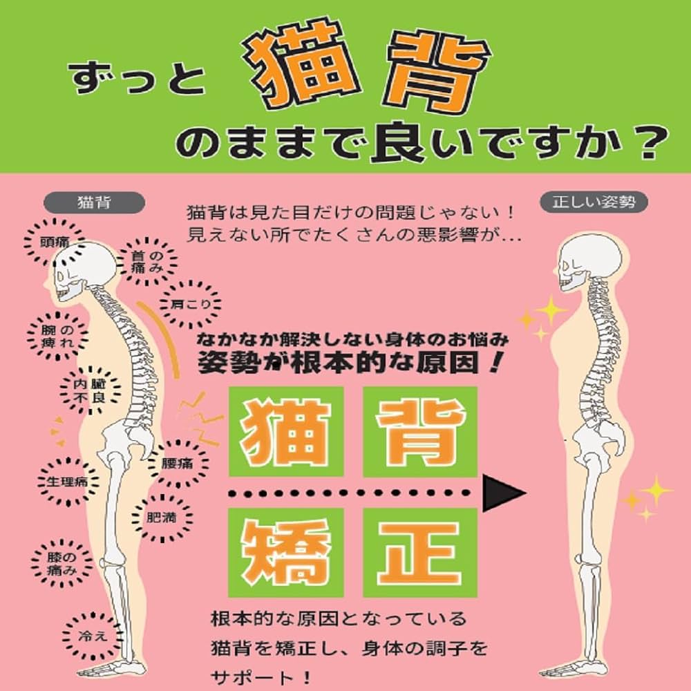 写真で見る姿勢均整術と整復手技 写真で見る 姿勢均整術と整復手技 Amazon.co.jp: 写真で見る姿勢