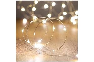 10ft 30 Leds Warm White Battery Operated Fairy Lights String
