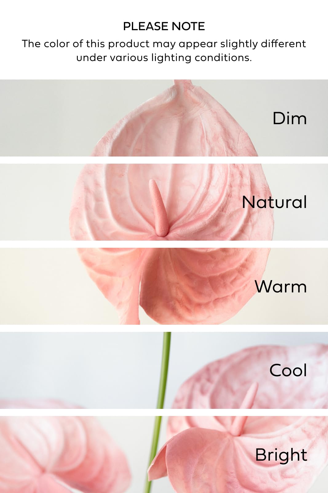 Amazon.com: Ling's moment Artificial Anthurium Plants, 8pcs Shabby Blush  Silk Filler Flower, Pink Faux Greenery Stems for DIY Wedding Bouquets  Centerpieces Arrangements Bridal Shower Party Home Decorations : Home &  Kitchen