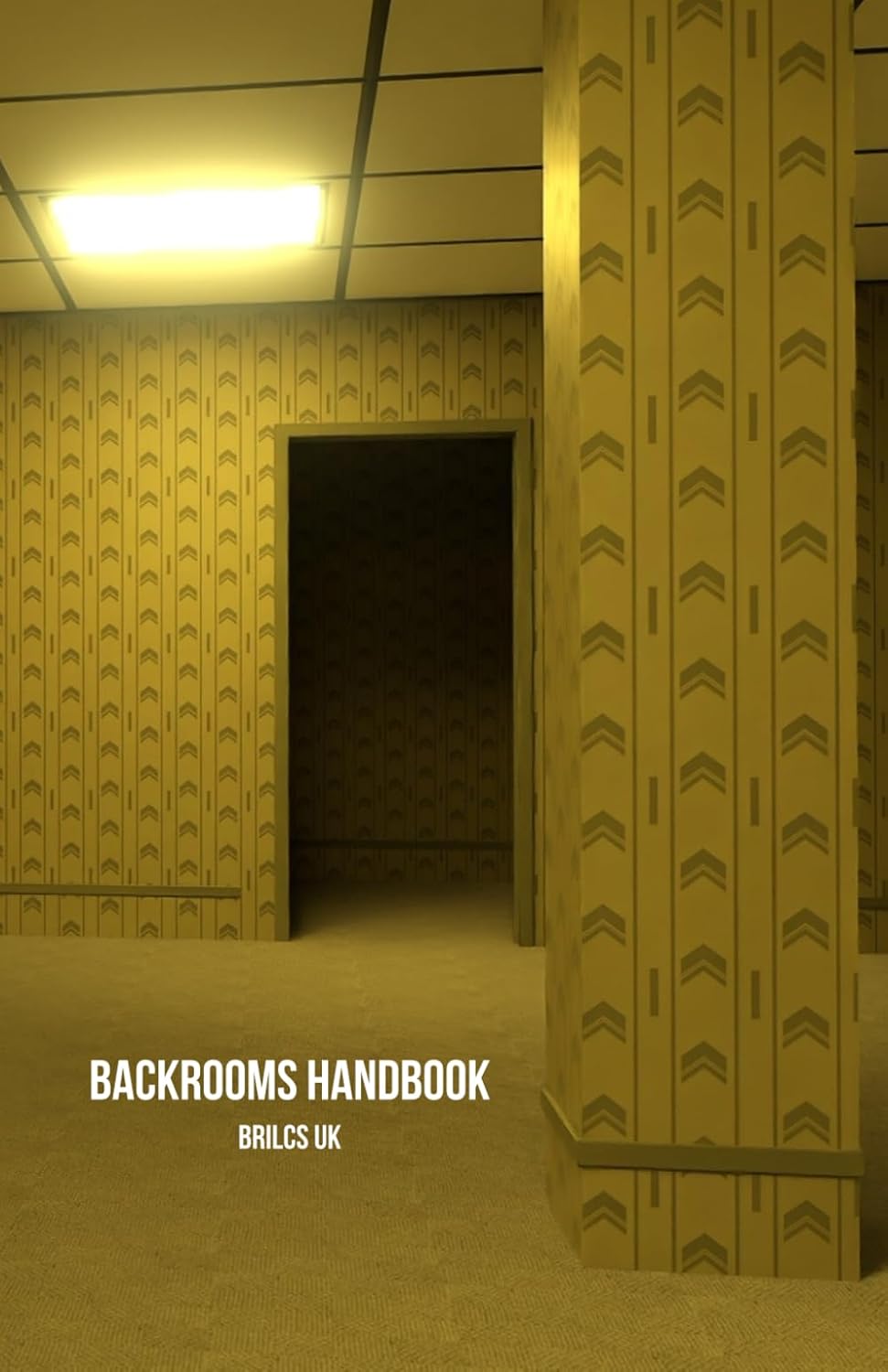 Backrooms Handbook UK, BRILCS Books