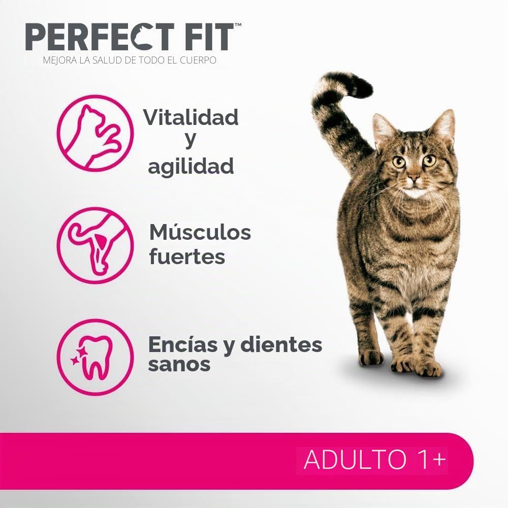 Alimento seco para Gatos Adultos a Partir de 1 año - Pollo, 7 kg (1 Bolsa)