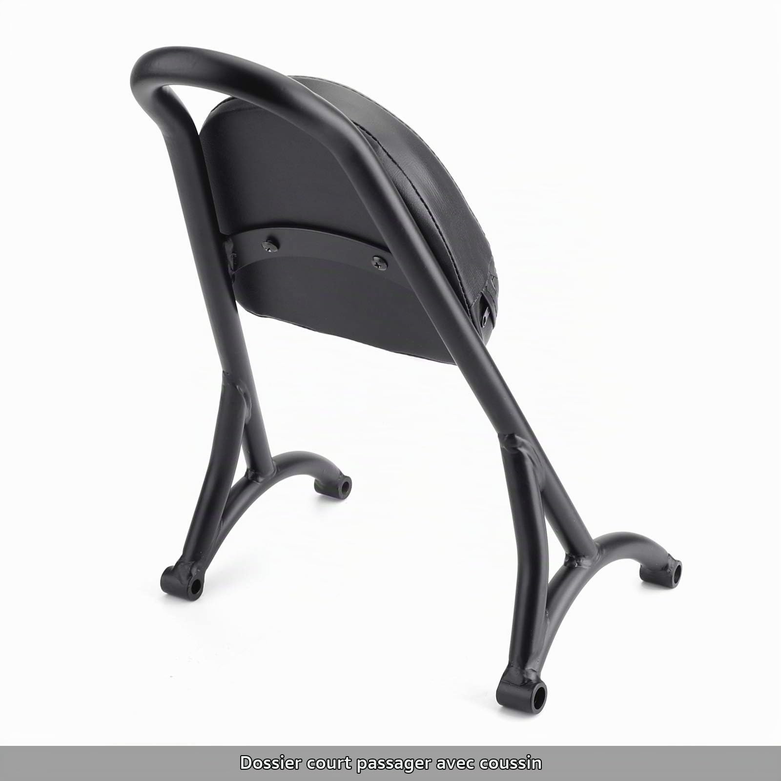 Topteng Sissy Bar de Moto, Dossier de Sissy Bar de Passager arrière avec Coussin adapté pour Sportster Iron Nightster 883 1200 XL, Noir