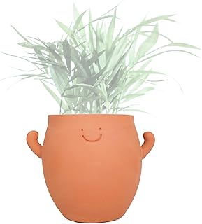 YOBRO 5 Inch Terracotta Plant Pots for Flower,Breathable Clay Face Plant...
