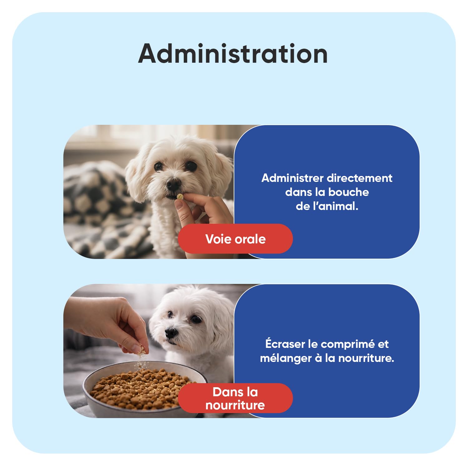 Multivitamines et Minéraux Chien 365 Comprimés - 12 Vitamine pour Chien avec 6 Minéraux, Goût Poulet - Vitamine C, D, B, A, E, Calcium, Fer, Zinc, Cuivre, Sodium, Iode - pour Toutes Tailles et Races