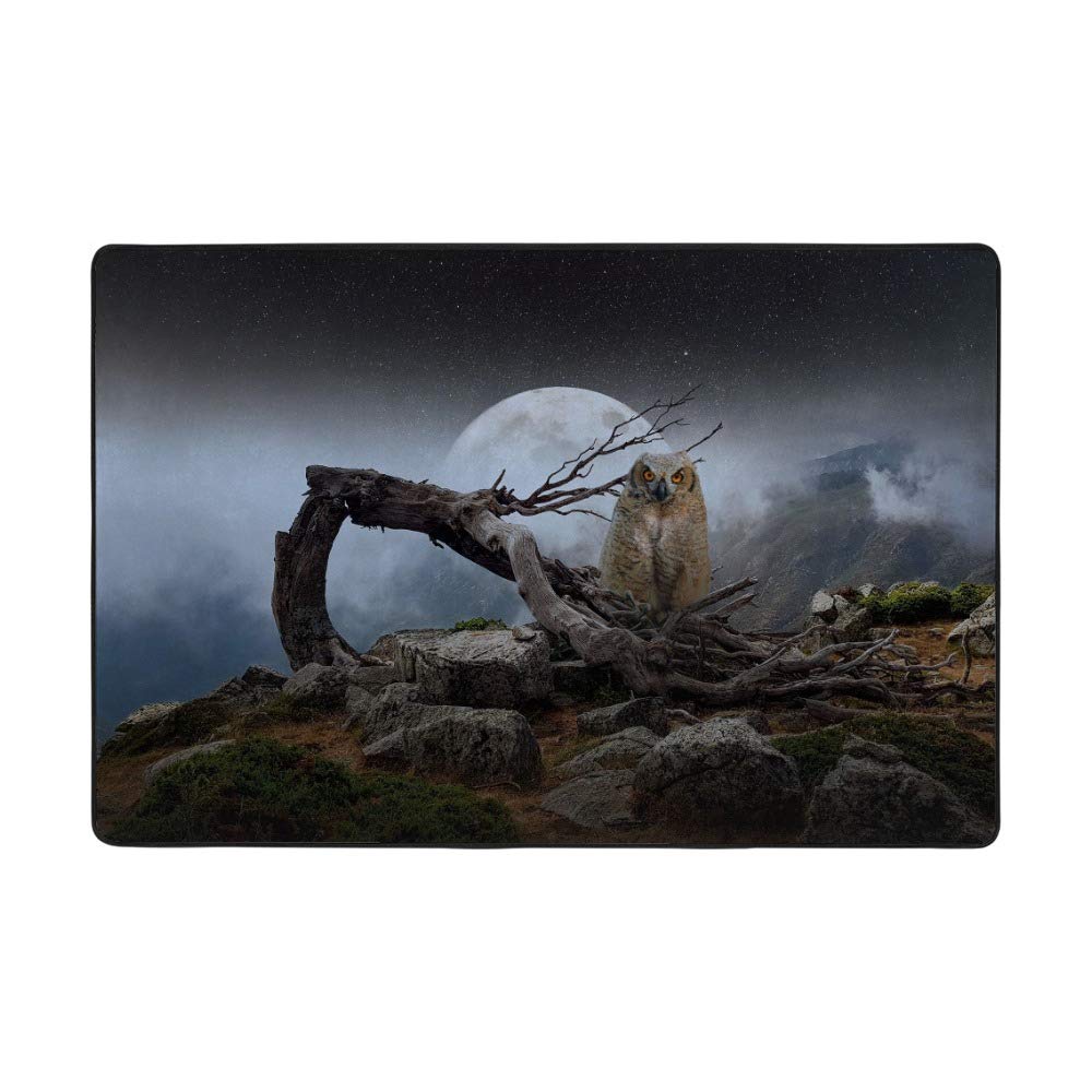 Tapis chouette pleine lune Ruchen pour réchauffer et décorer un salon froid