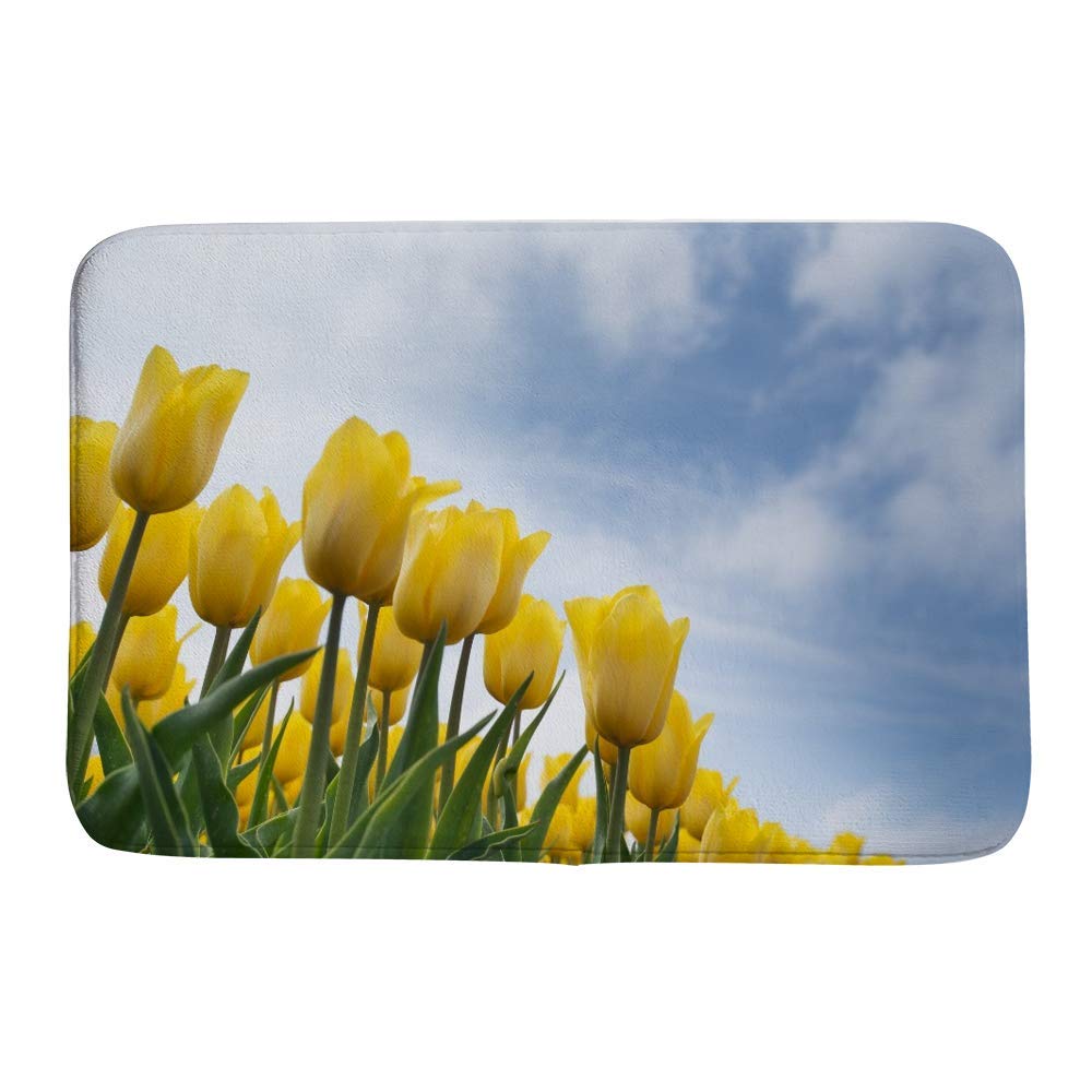 Tapis de douche antidérapant et absorbant en velours corail motif tulipe