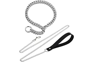 SM Leather Collar and Leash