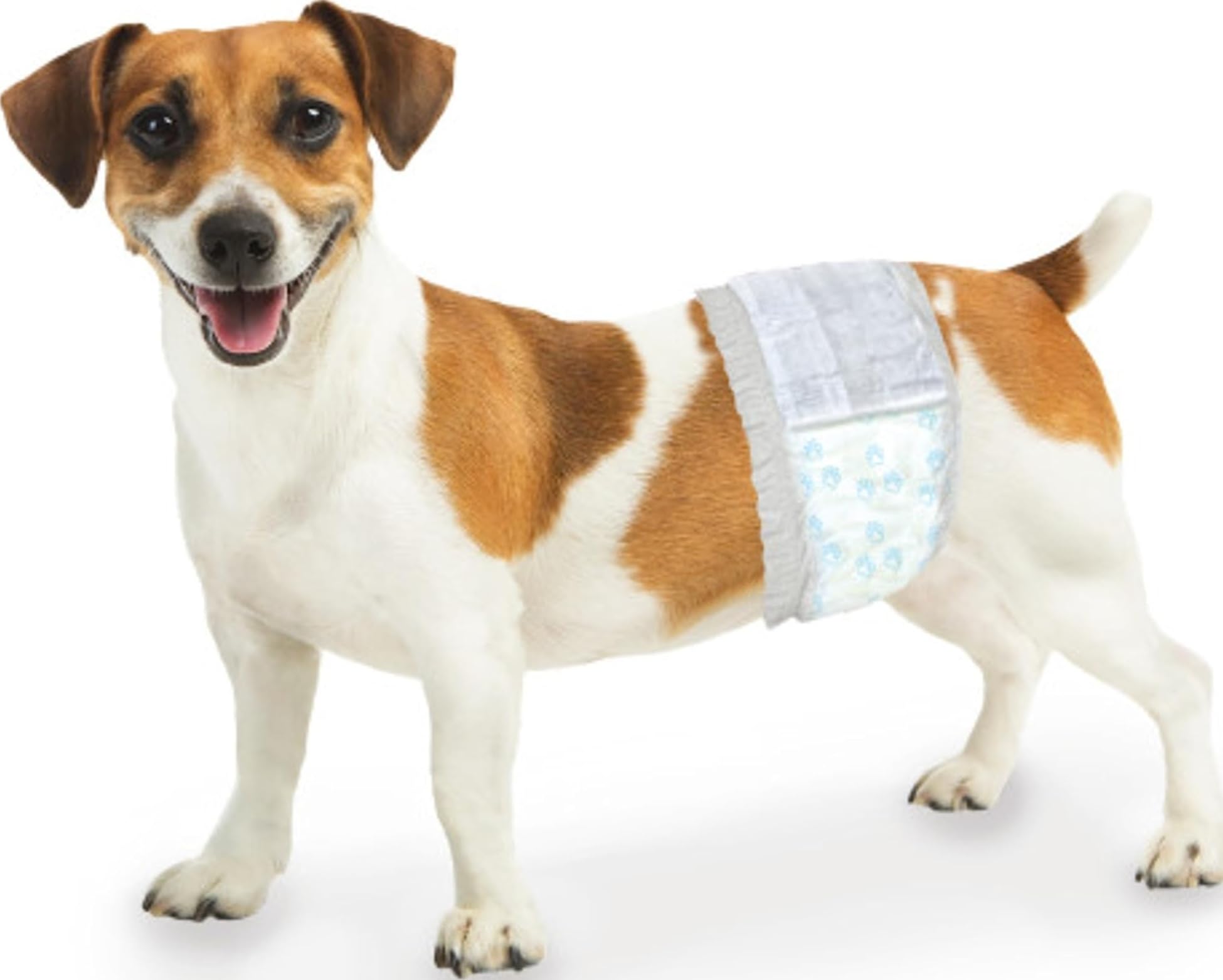 Four Paws Wee-Wee Disposable Male Dog Wraps