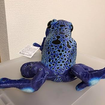 カエルのぬいぐるみ12体セットリアルカエル カエルのぬいぐるみ12体セットリアルカエル - メルカリ