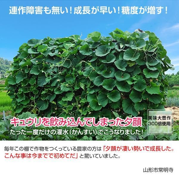 Amazon.co.jp: 植物活力液 美味大豊作GT-S 10リットル 作物が Amazon.co.jp: 植物活力液 美味大豊作GT-S 10リットル 作物が