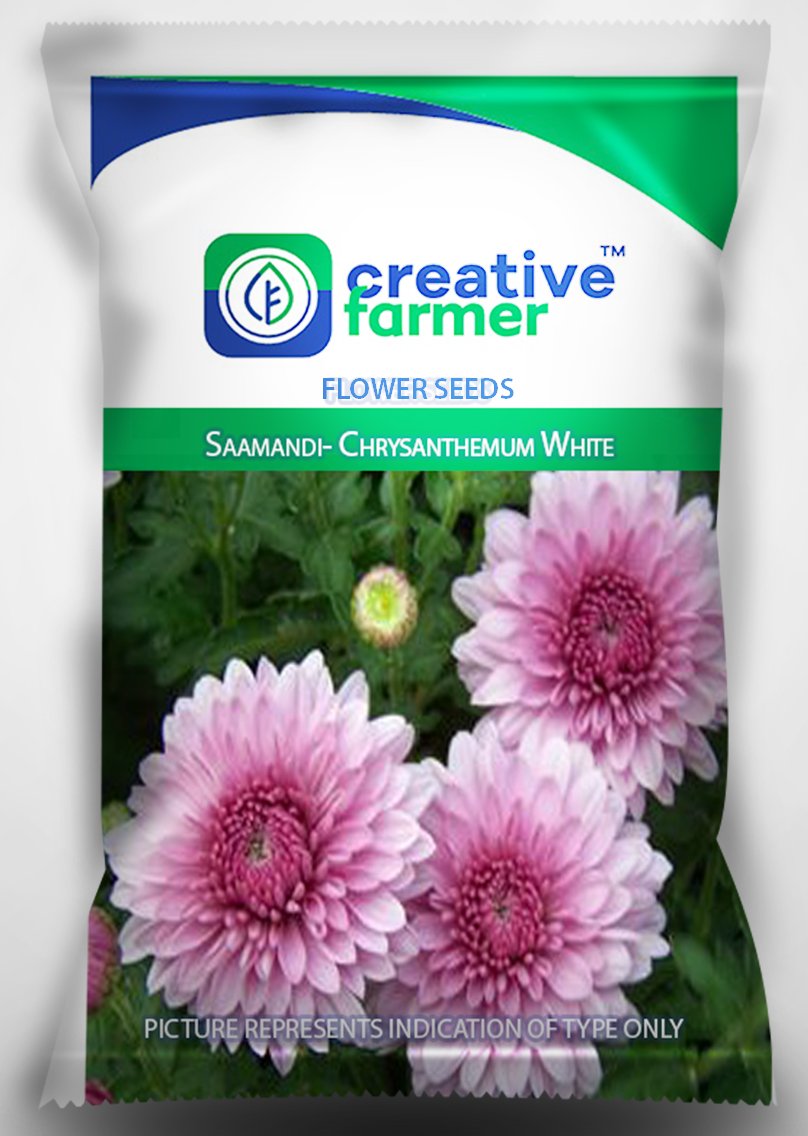 Creative Farmer Flower Seeds For Fall Planting- Saamandi- Chrysanthemum White Flower Seeds for Gardening - 1 Packet (B01LZMYXN7) Amazon Price History, Amazon Price Tracker