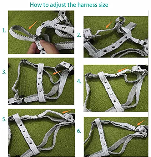 Hundegeschirr Kleine Hunde Leder Verstellbar feiling Hundegeschirr Welpen Brustgeschirr Haustier Ausbruchsicher Katzengeschirr Ledergeschirr Weichem mit 1.3m Hundeleine Leder (Braun)