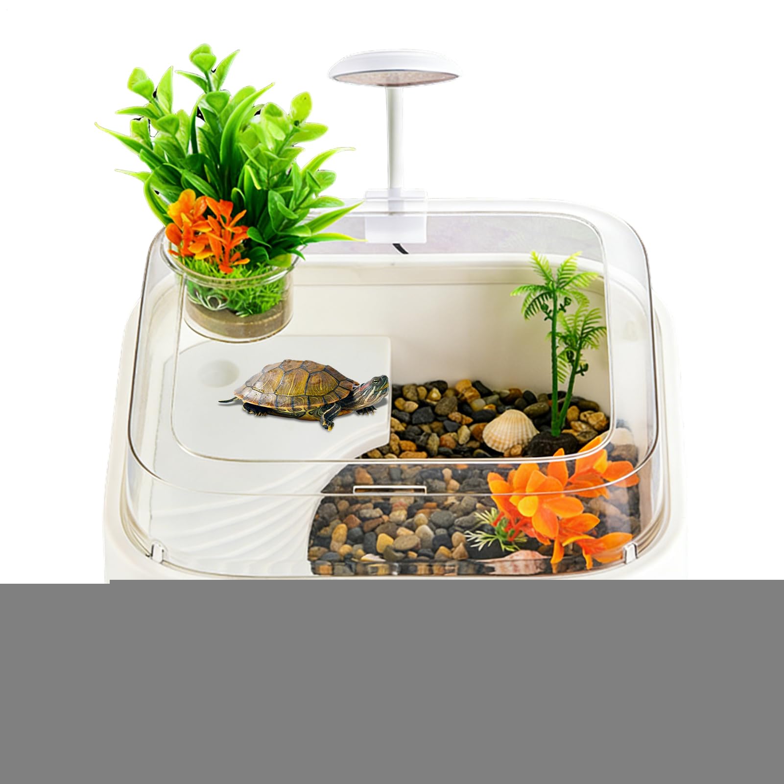 Terrarium Dla Żółwi Z Oświetleniem I Zabezpieczeniem Przed Ucieczką Dla | Zestaw Akwarium Gadów Oraz Żółwi Lądowych dla Krabów Palmaowych Żółwi Agam Brodatych Węży i Pająków do Domu i Biura