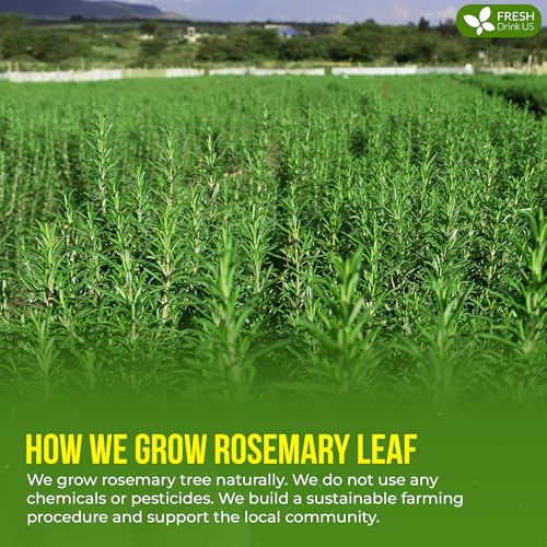 Image of FreshDrinkUS, Premium 8oz Rosemary Leaves Powder, 100% Natural & Pure, Herbal Tea, No Sugar, No Caffeine, No Gluten, Vegan.