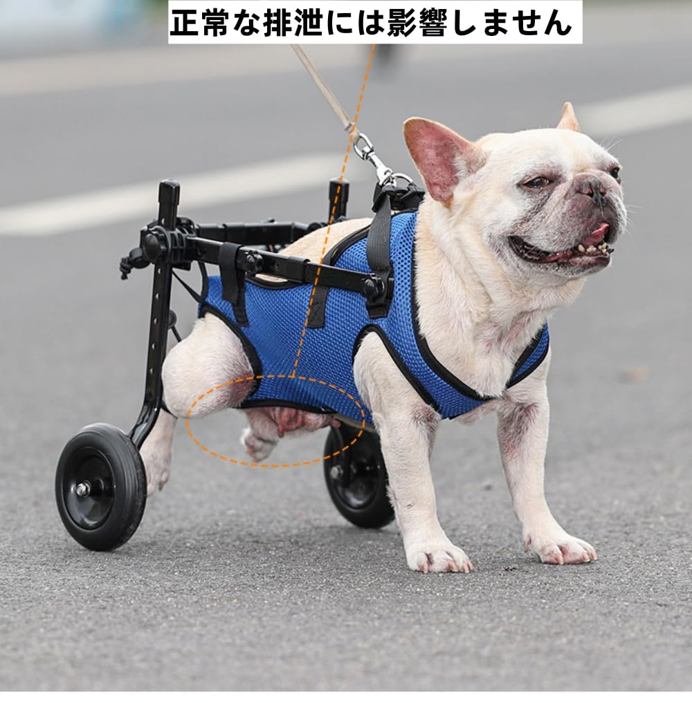 Amazon.co.jp: Pazzfre 犬猫用車椅子 2輪歩行器 犬用歩行補助具 犬用