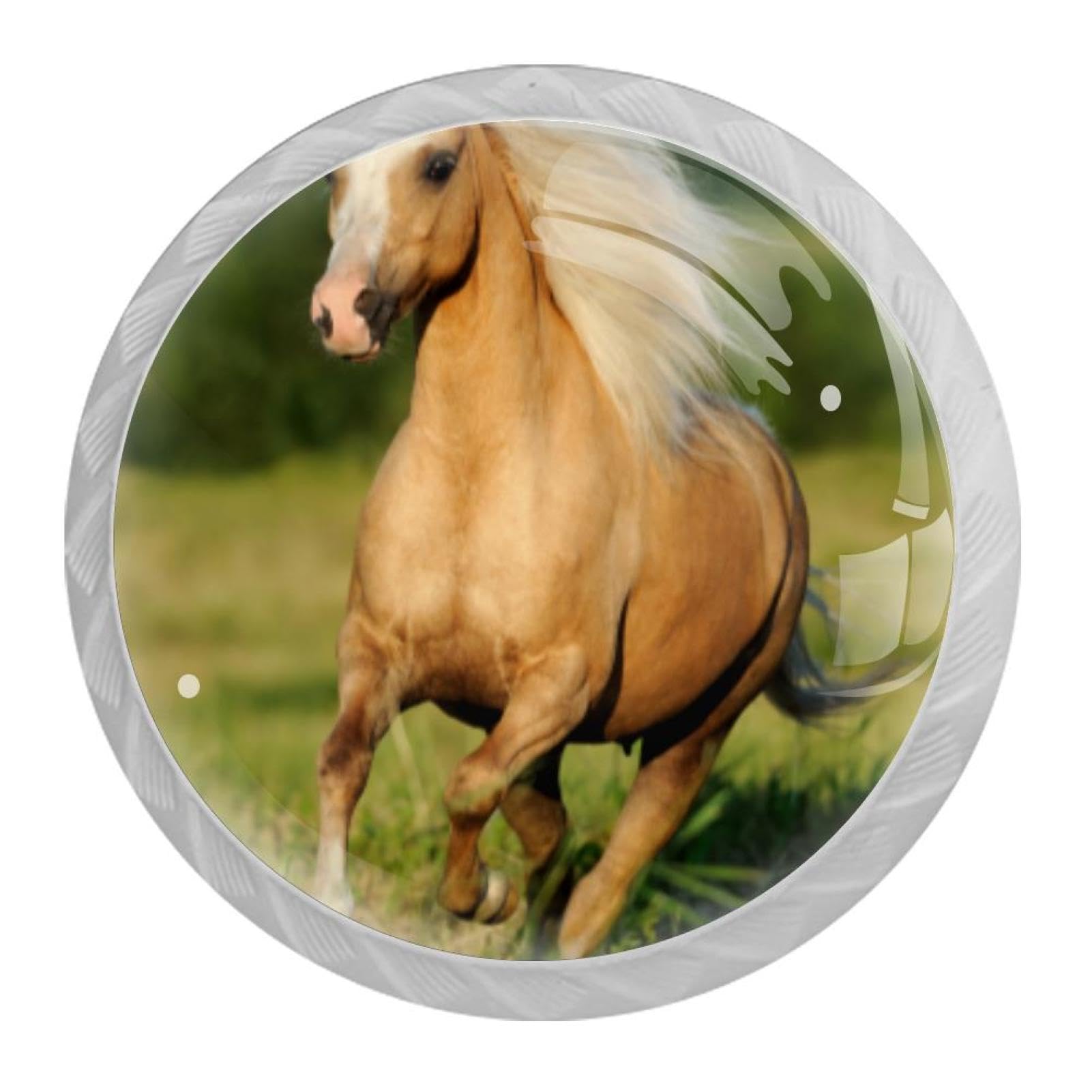 Tqmspg Horse
