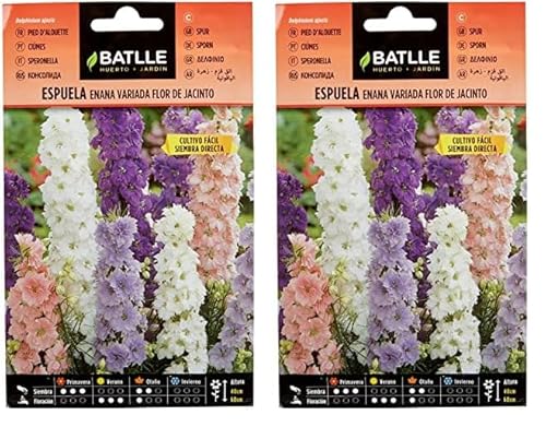 Semillas Batlle Espuela - ENANA - flor de jacinto (Paquete de 2)