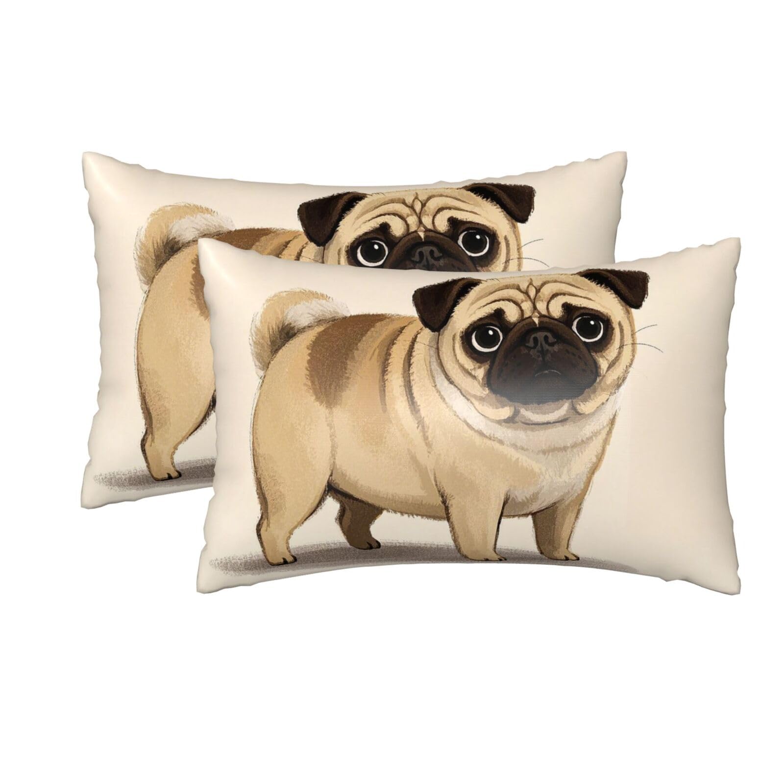 2 Pack Queen Silk Pillow Cases with Hidden Zipper, Luxury Soft Satin Pillow Covers for Hair and Skin, Cartoon Pug Pillowcases 20"x30" Bed Pillow Protectors Cover for Sleeping Gifts