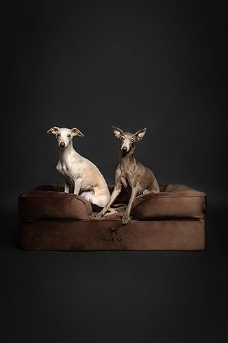 Miniatura 7 de NOAH & PAW Cama grande para perro, 35 x 25 x 11 pulgadas, camas ortopédicas para perros, espuma viscoelástica con cáscara de huevo con gel