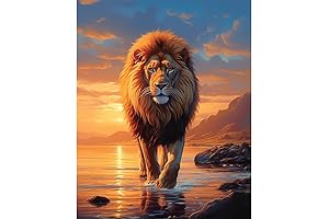 Craft by Numbers: Unveil Your Inner Artist with Natuyalo's DIY Paint by Number Kits