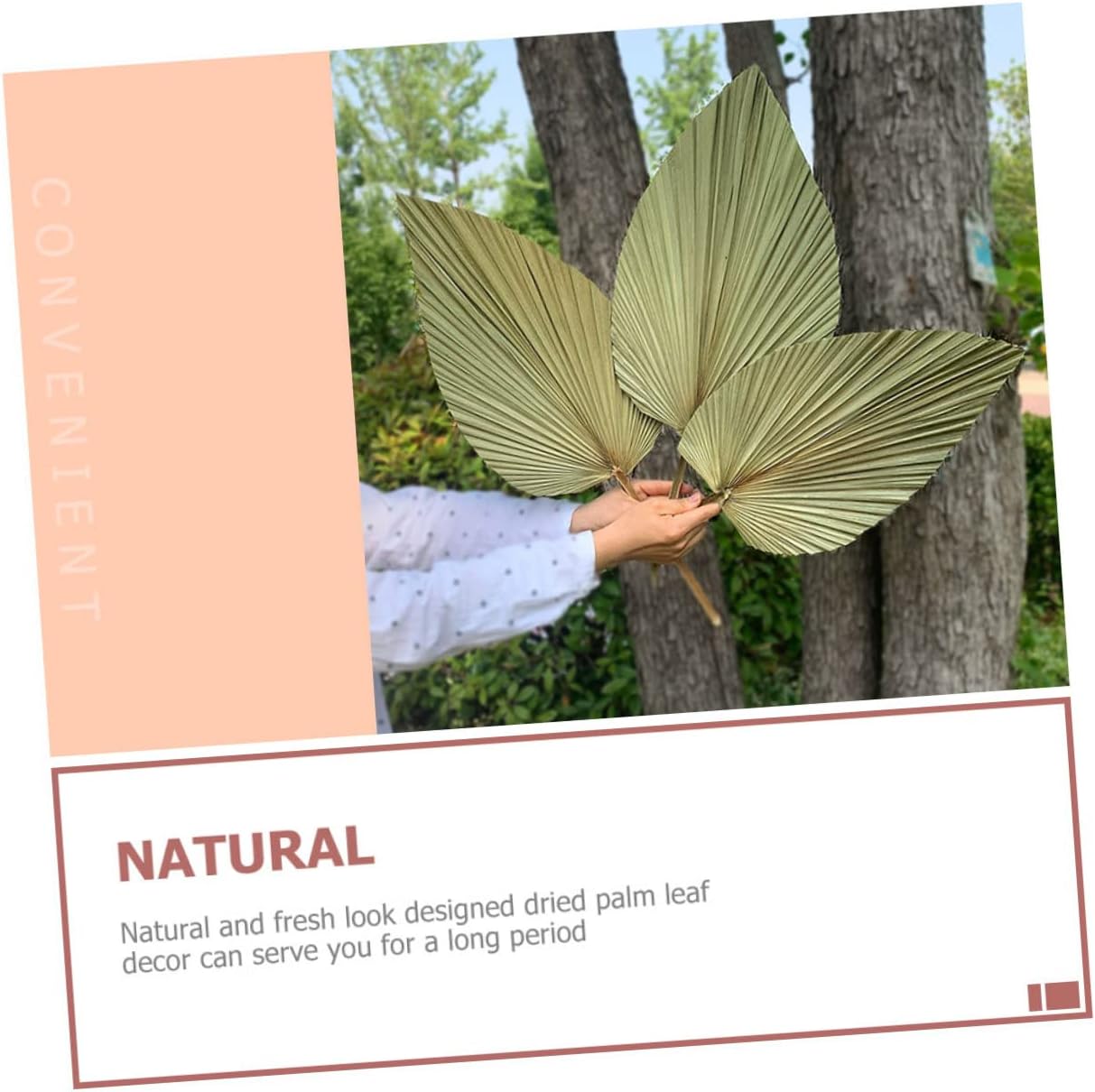 MAGICLULU 4Pcs Dried Palm Leaf Decor for Wedding Party Home Decoration Boho Style Decorative Props for Floral Arrangements Indoor Outdoor Use Easy Care Palm Leaf Art Supply