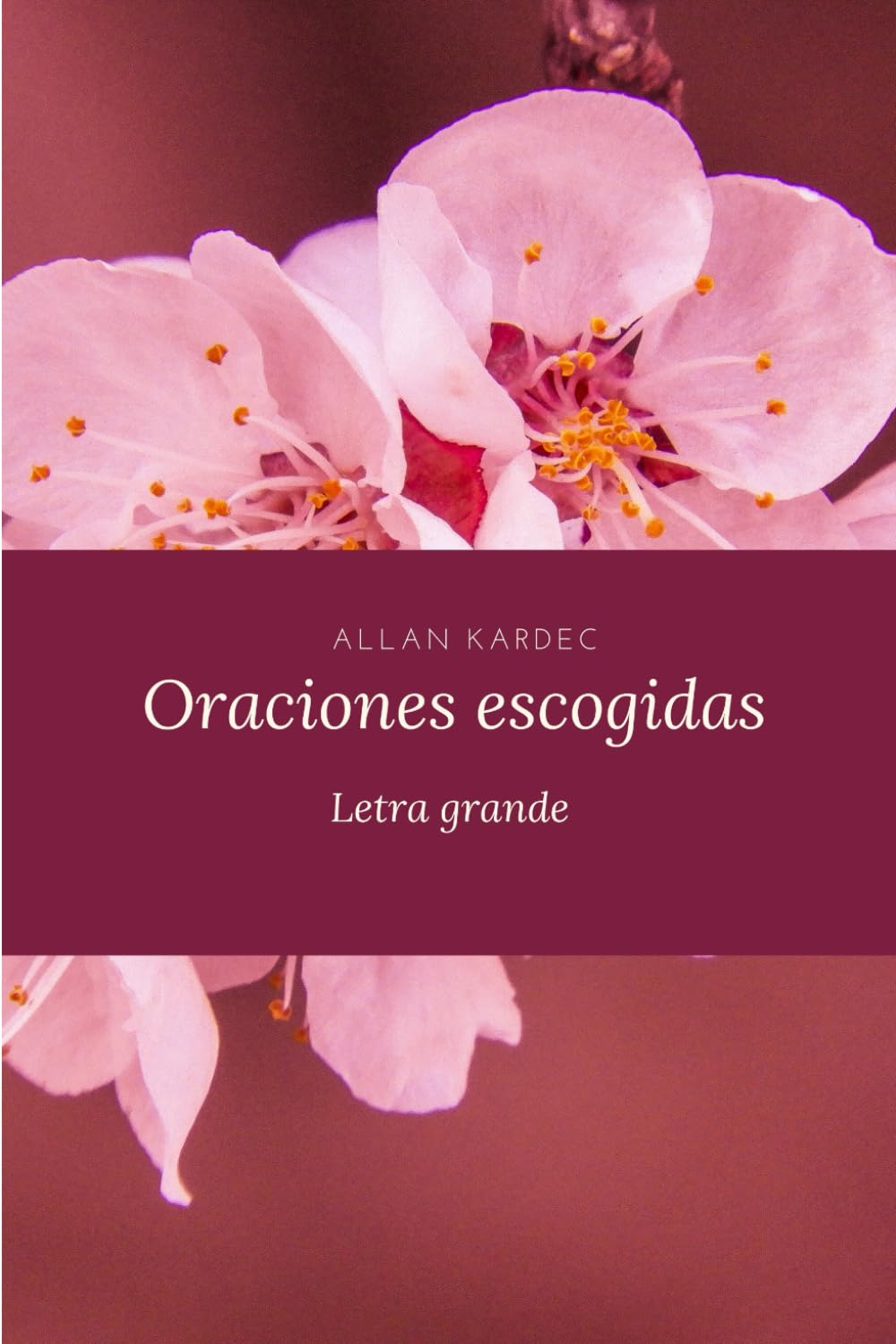 Oraciones escogidas: Letra grande