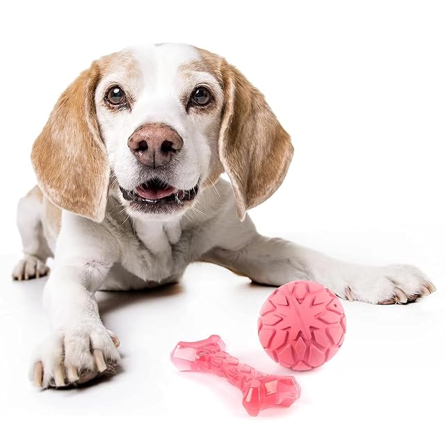 Foto 7 de 7 de FOFOS Conjunto de Juguetes para Cachorros Milk Bone & Ball para la dentición, Perros pequeños