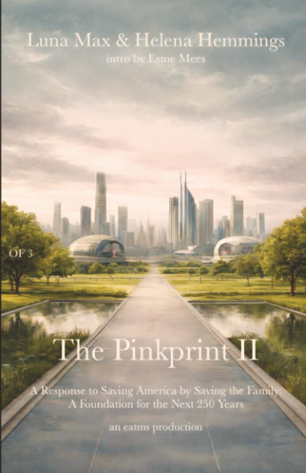 The Pinkprint II: A Response to Saving America by Saving the Family: A Foundation for the Next 250 Years: 3 (Project 250 Years)