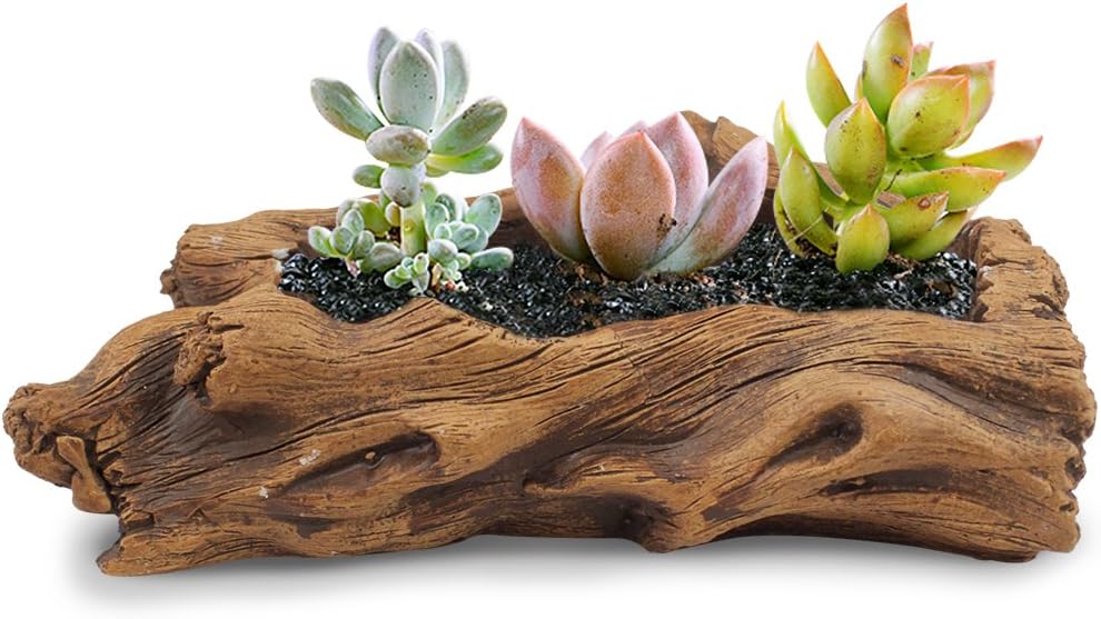 Classic Rectangular Concrete Indoor Succulent Planter with Drainage Hole