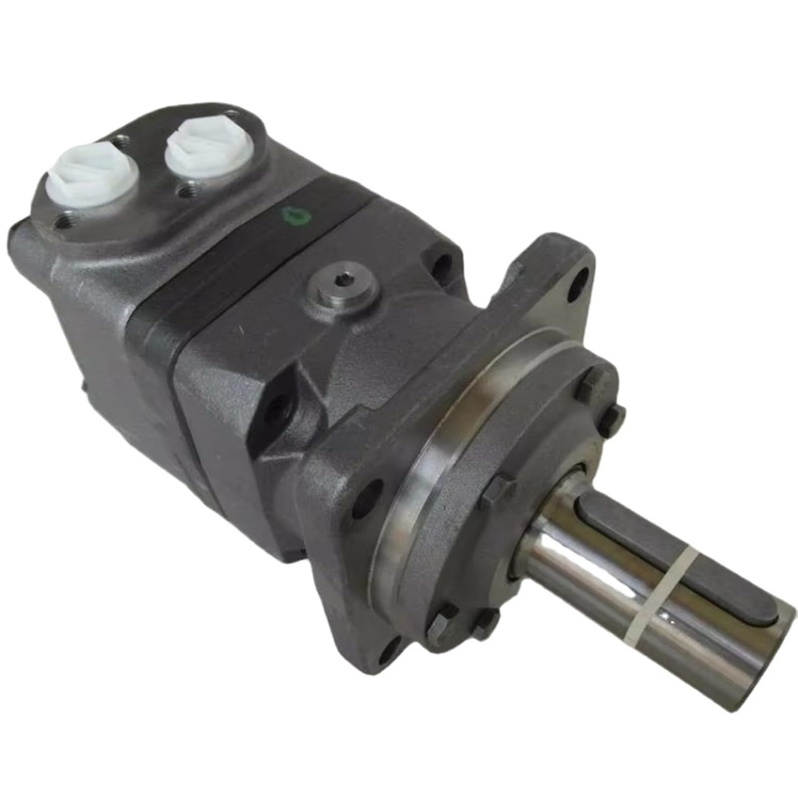 Iddcmwnb One Color 160 Omt200 Omt250 Omt315 Omt400 Omt500 Series Spool Valve Orbit Hydraulic Motor 315 151B3015