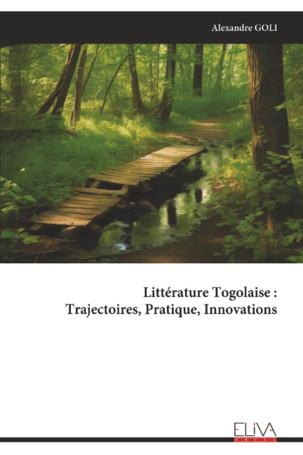Littérature Togolaise : Trajectoires, Pratique, Innovations