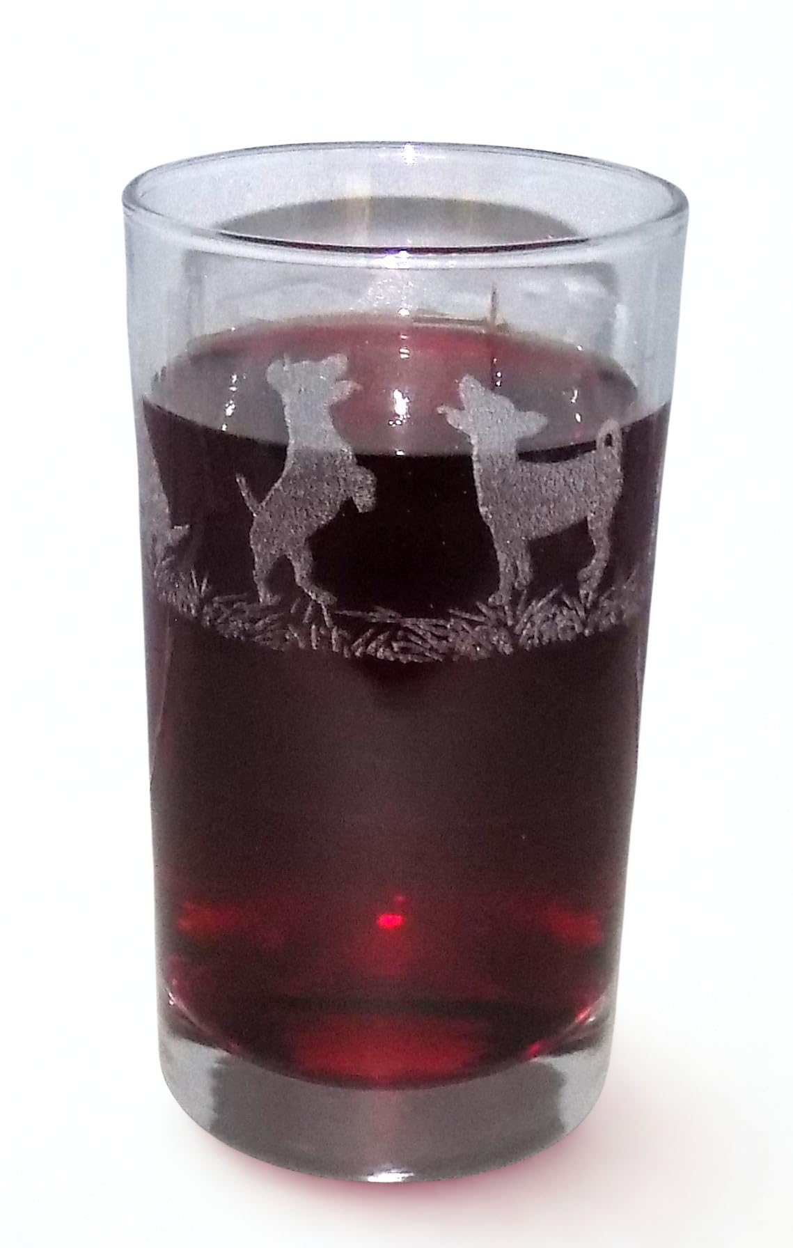 Jack Russell Engraved Highball Tumbler โ image 1