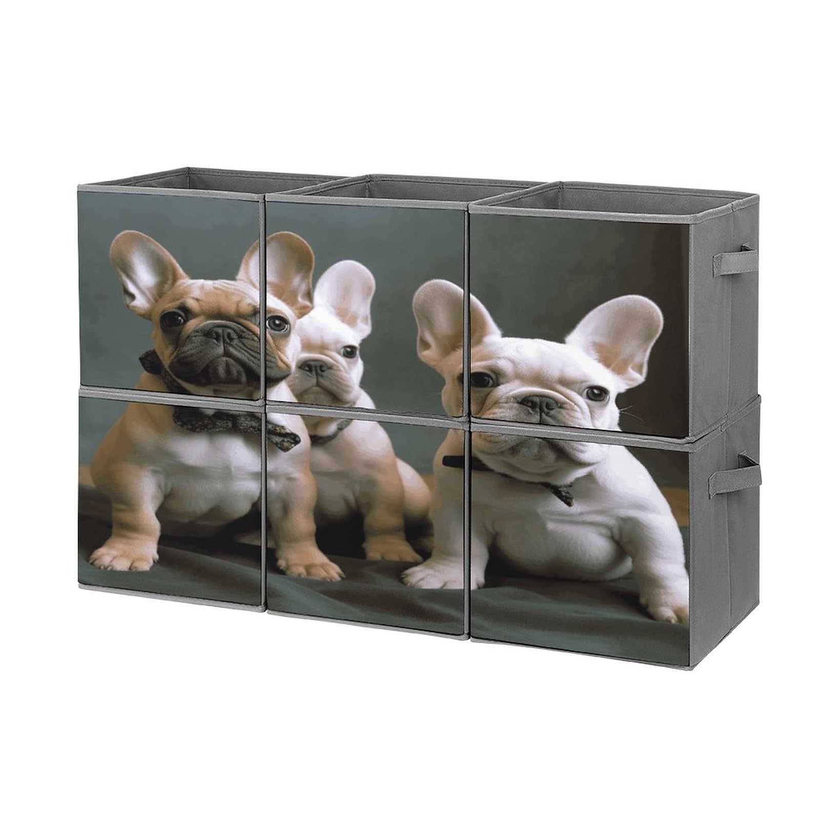 FodPand French Bulldog Puppies Storage Bins Cubes Fabric Cube Organizer Foldable Storage Boxes Large Storage Baskets Oxford Cloth Cube Bins for Home Clothes Closet Organizers 6 Pack