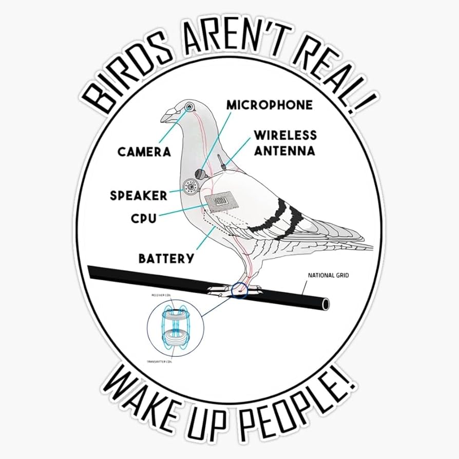 Birds Aren'T Real Diagram: Uncovering the Conspiracy Blueprint
