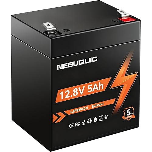 12V 5Ah LiFePO4 Lithium Battery, Built in 7A BMS,Low-Temp Protection, 3000+ Deep Cycle 12 Volt Lithium Batteries for Power Wheels, Small UPS, Security System, Ride on Toys