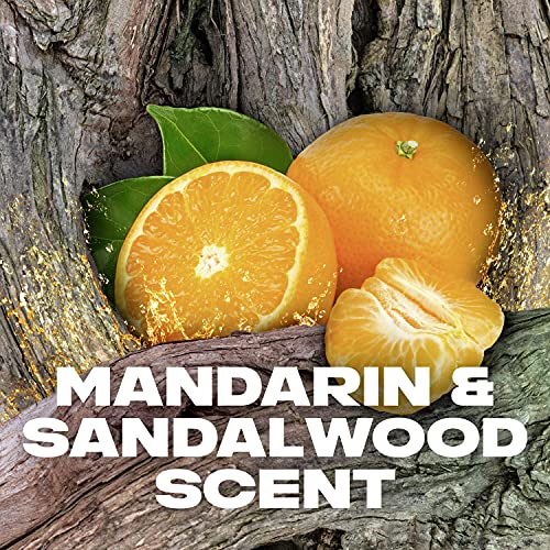 LYNX Africa 48-hour protection against odour and wetness Anti-perspirant Roll On deodorant with an iconic scent 6 x 50 ml - Image 7