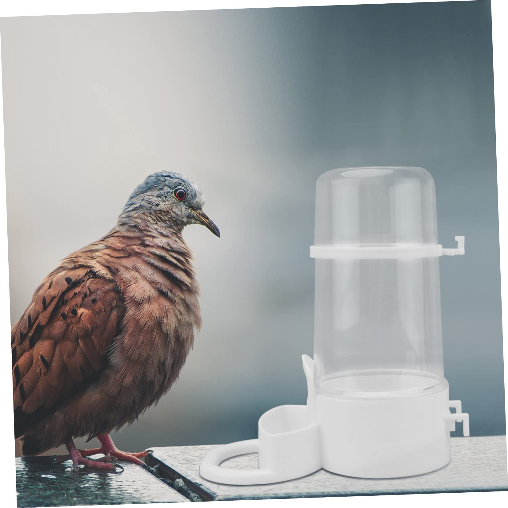 HANABASS 8pièces Distributeur Automatique Eau pour Oiseaux Abreuvoirs Étanches pour Volaille Gamelles Pratiques pour Poules Et Oiseaux Domestiques Faciles à Installer Nettoyer