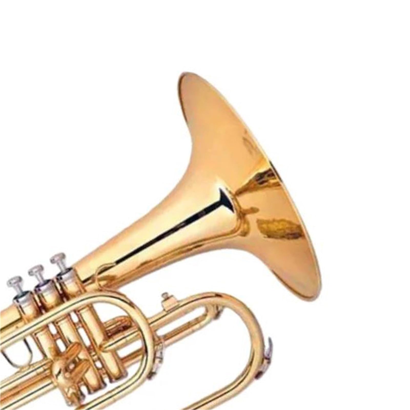 Instrument Muzyczny Waltornia Melodia Marszowa Pozłacany Korpus Z Mosiądzu Bb Waltornia Barytonowa Gama Gładkich Zaworów Trwała