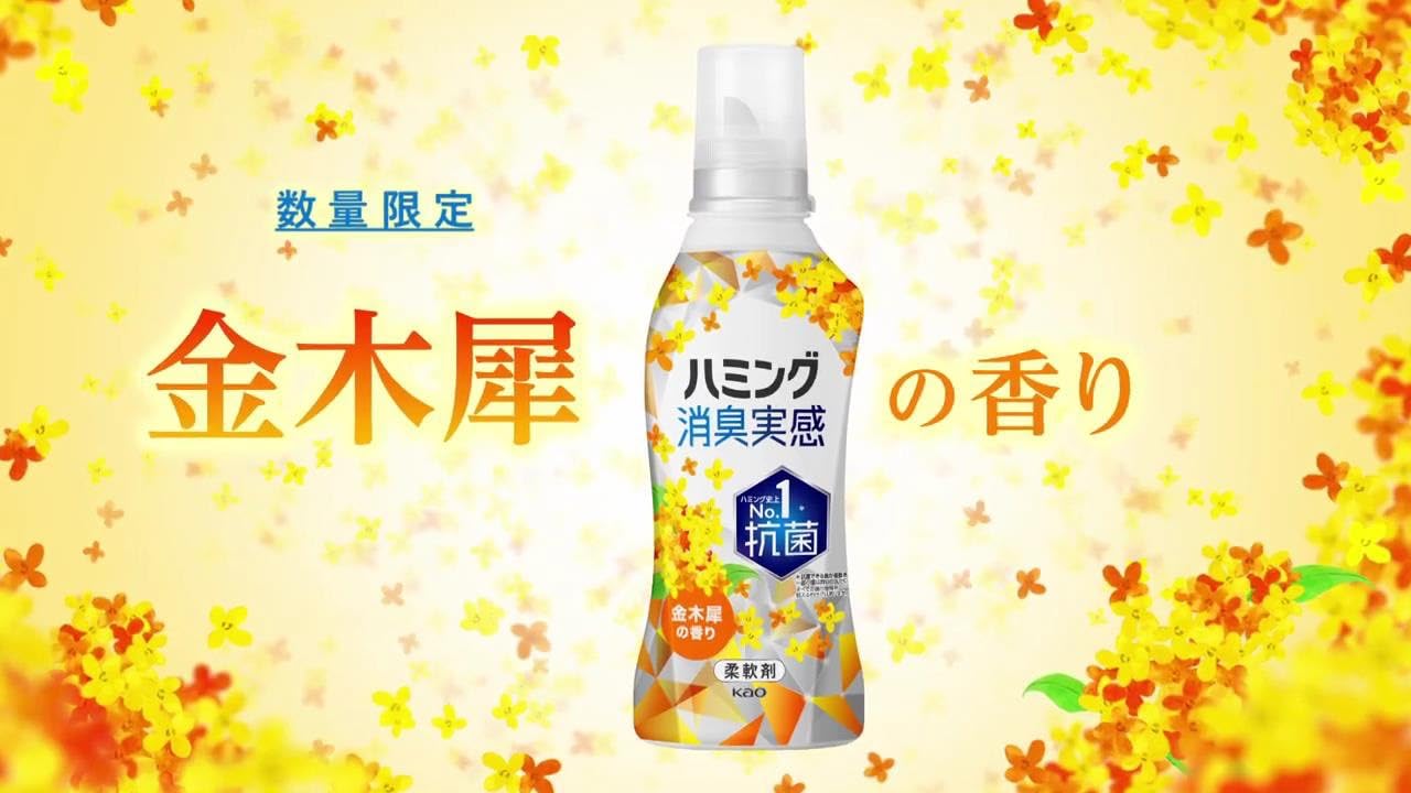 ハミング消臭実感ほんのり甘い金木犀の香り 詰め替え 特大サイズ1000ml×12 Amazon | 花王 ハミング 消臭実感 金木犀の香り 詰替え 1000ml 3袋