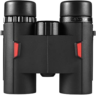 Binoculares Binoculares compactos adecuados para el día de San Valentín Regalo Telescopio Profesional para conciertos de Caza al Aire Libre (Negro)