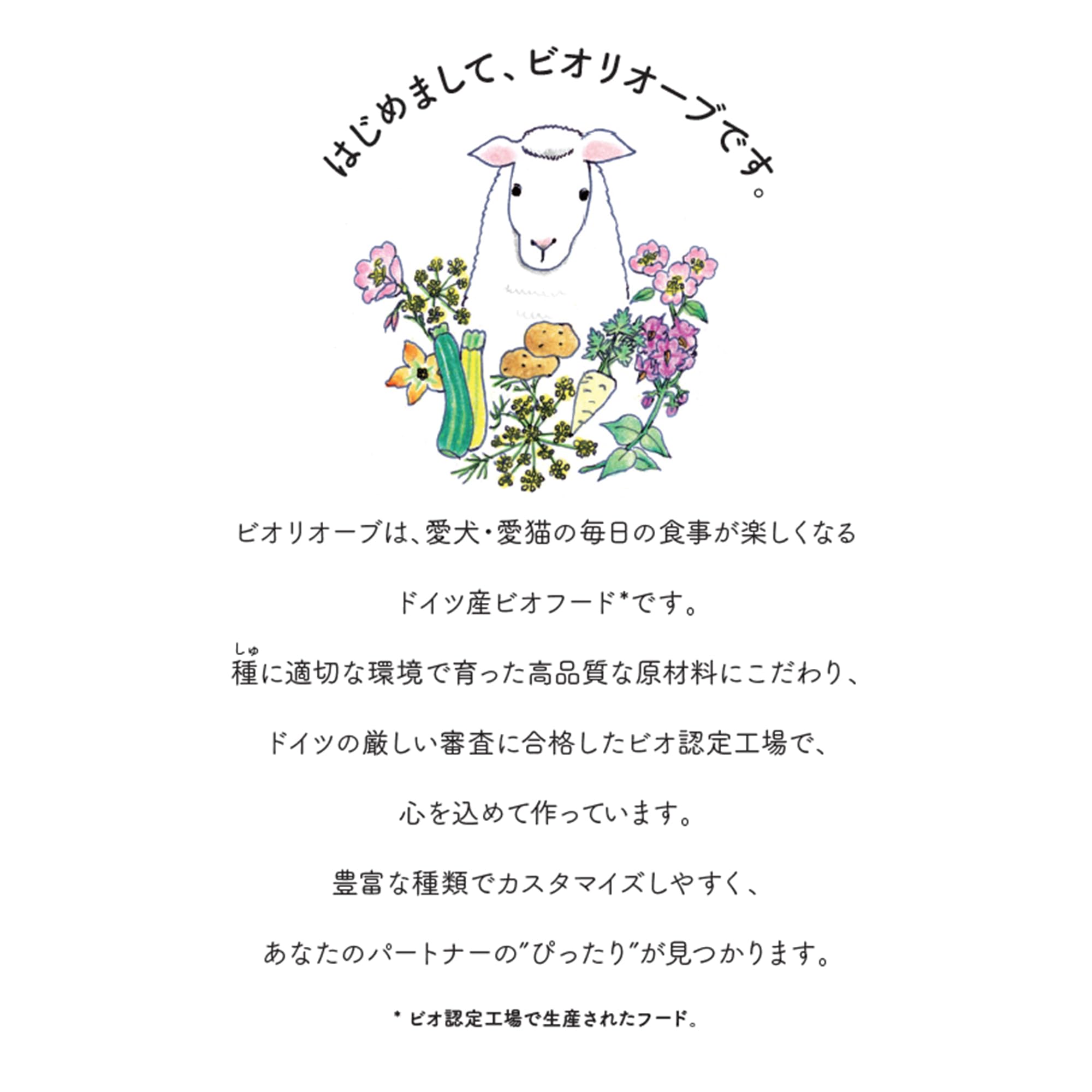 Amazon.co.jp: ビオリオーブ ドイツ産 ドッグフード ウェット パウチ