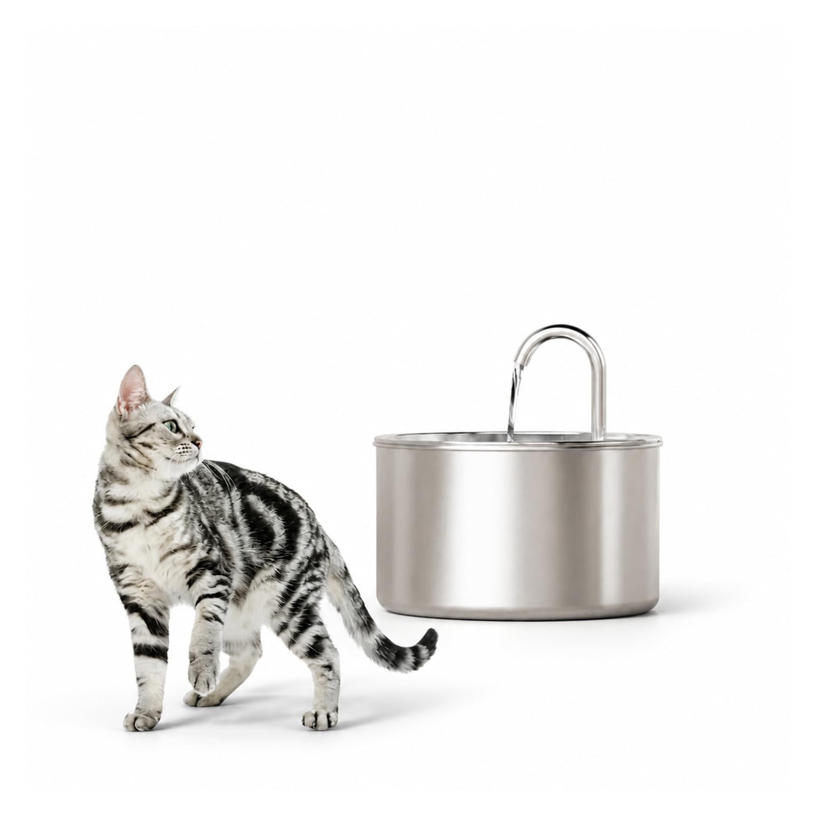 Fuente de Agua para Mascotas, Fuente de Agua automática Cat de 2,2 l/74 oz de Acero Inoxidable(Only 2.2L Fountain)