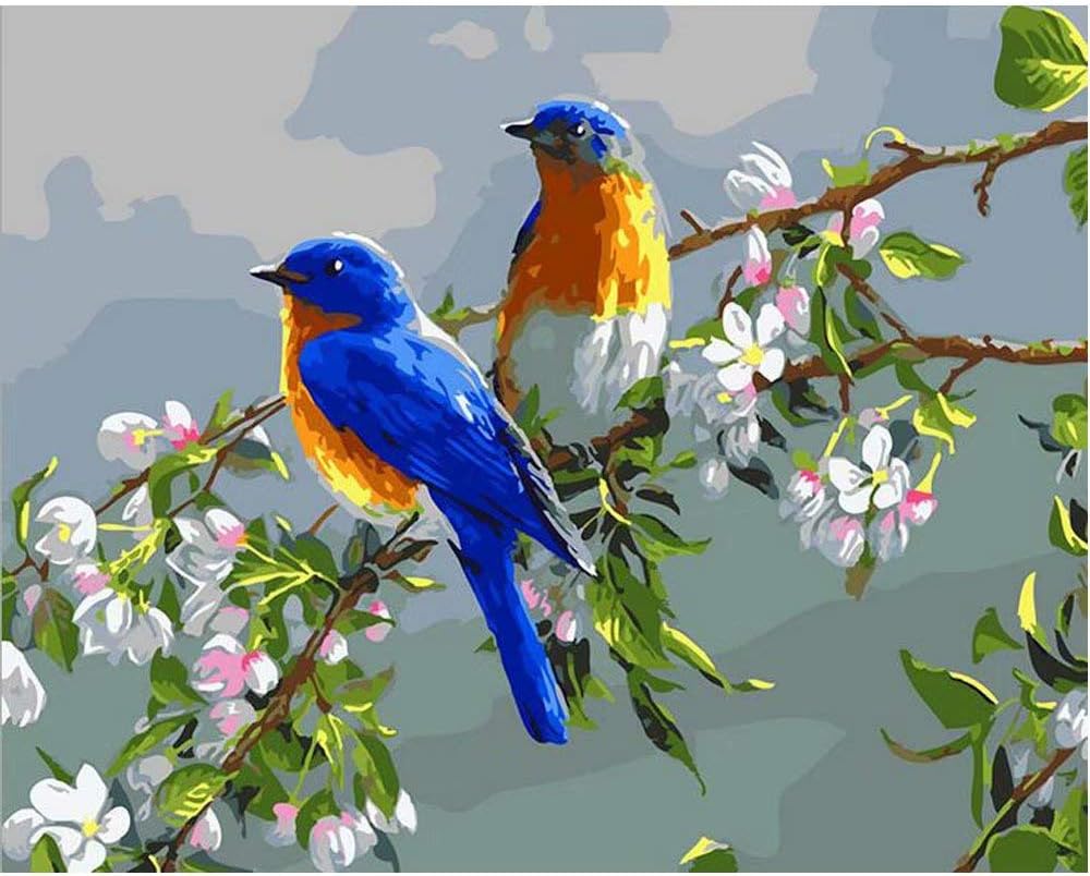 SUBERY DIY Oil Painting Paint by Numbers Kits for Adults Kids Beginner Gifts - 16x20 inches (Wooden Framed) (Two Birds on a Flowering Branch)