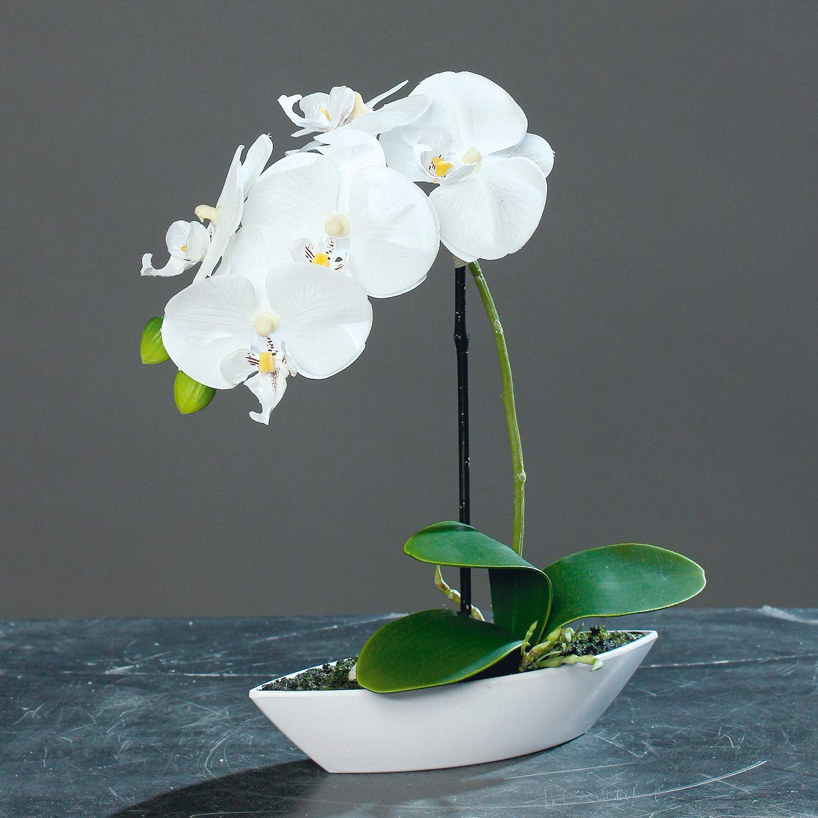 mucplants Kunstblume Orchidee Phalaenopsis im Kunststoff-Schiffchen, Creme,  ca. 30cm knstliche Orchidee, Zimmer- oder Tischdekoration : Amazon.de: ...