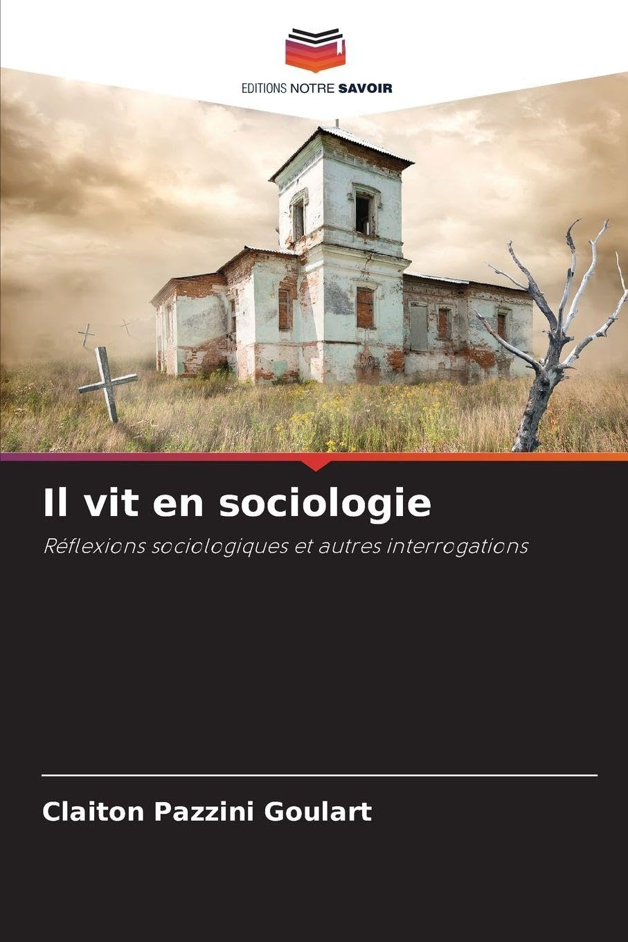 Il vit en sociologie: Réflexions sociologiques et autres interrogations