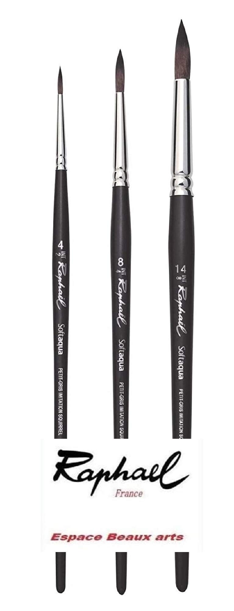 Pinceau Raphael SOFTAQUA.SÉRIE 845 Vegans. N°4 .8. 14 Set 3PCS (Raphael France) + 1 Pinceau
