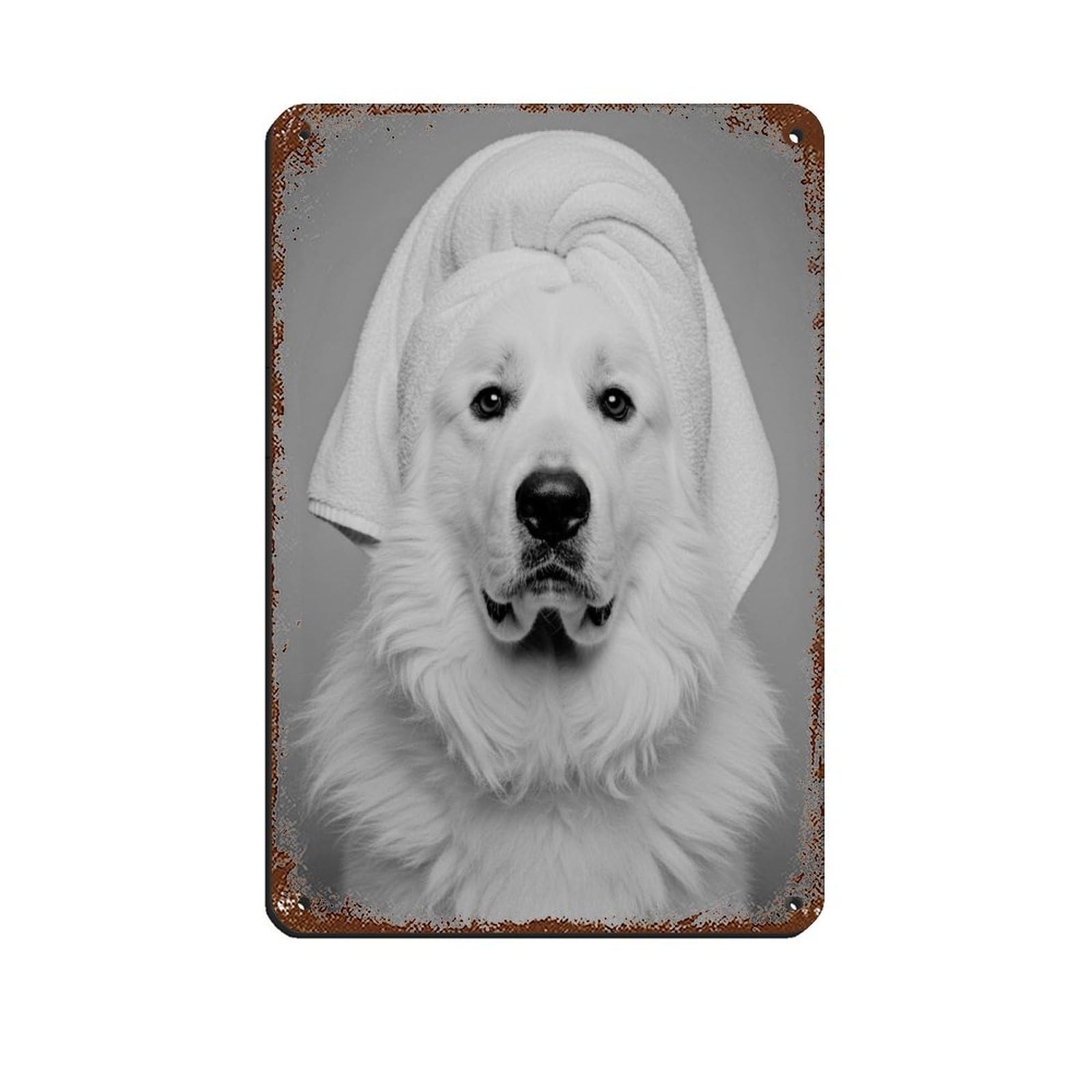 Bathroom Spa Art, Great Pyrenees Décor Art Retro Poster Metal Tin Sign Chic Art Retro Iron Painting Bar People Cave Cafe Family Garage Poster Wall Decoration 8x12inch(20x30cm)