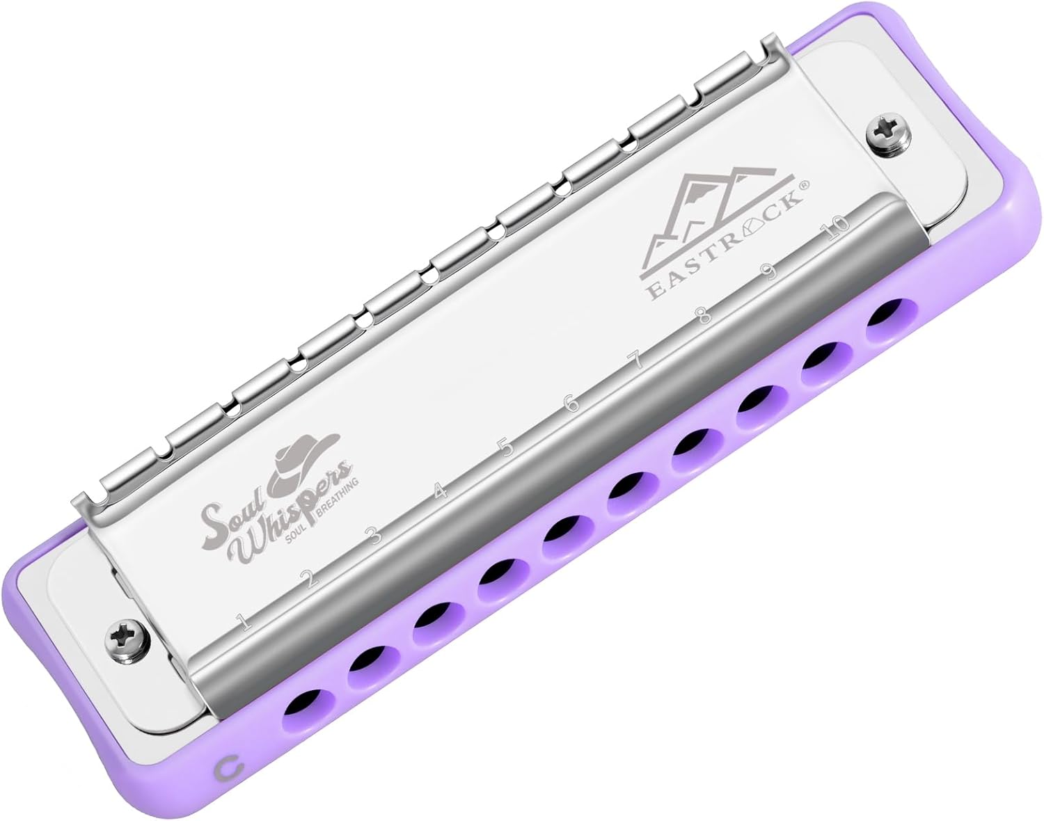 EASTROCK 10 Holes Blues Harmonica Key of C Mouth Organ with Case has Explosive Power For Adults Professionals Beginners CB05 Purple