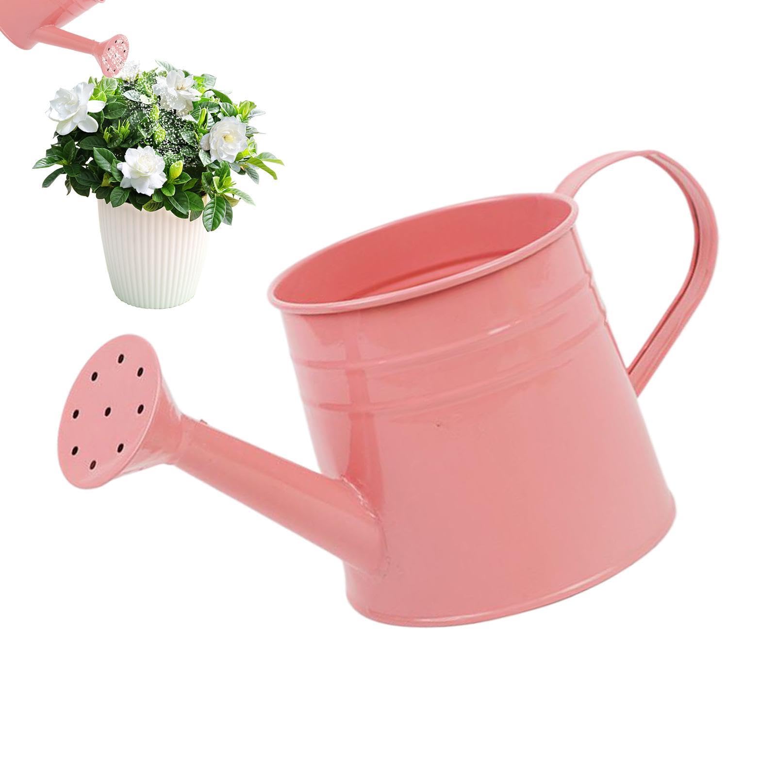 Metal Watering Can Mini, Small Watering Can For Indoor Plants With Sprinkler, Kids Water Kettle Multipack,Ergonomic Handle For Plants Outdoor Garden Indoor Flower